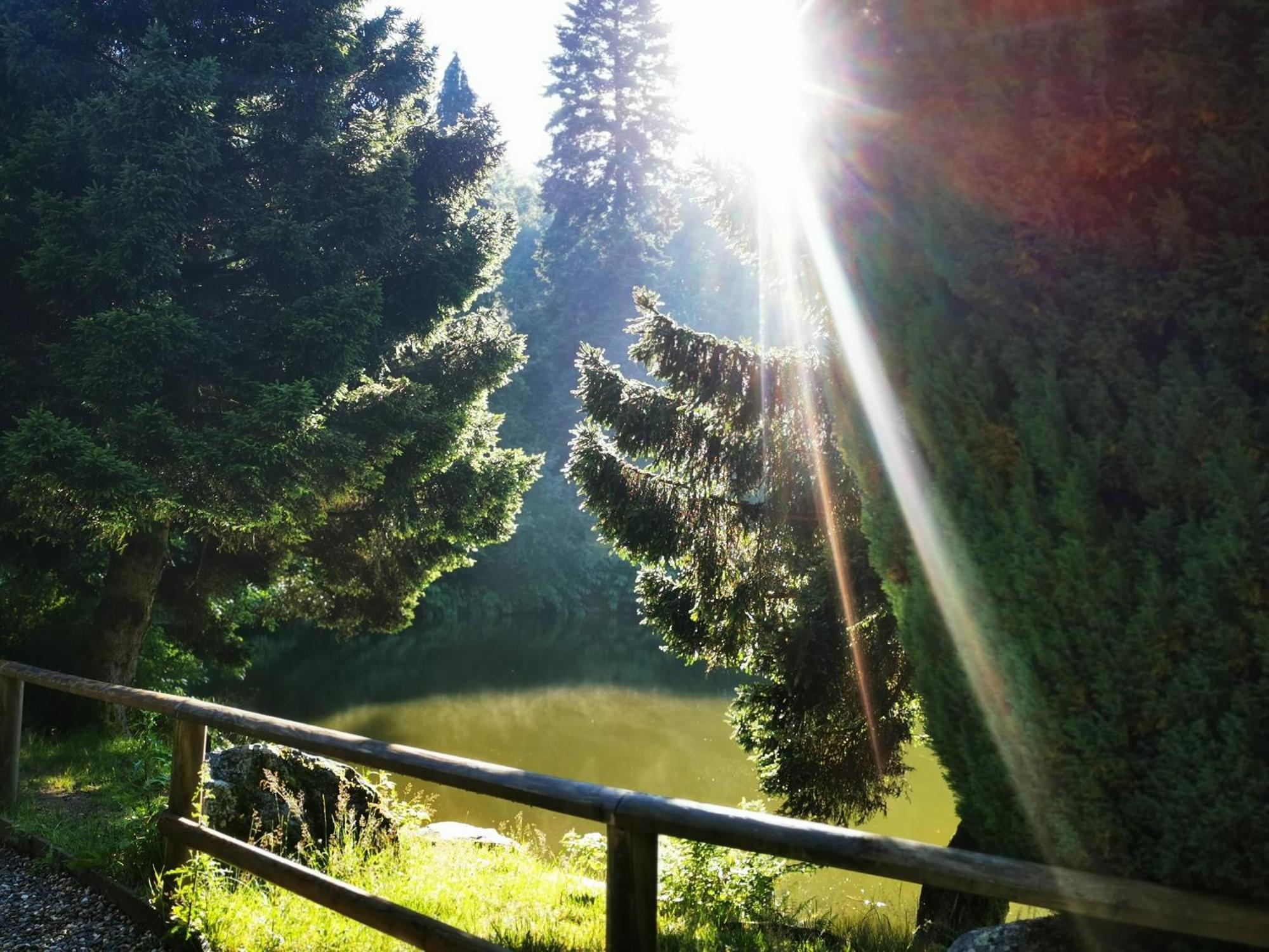 Miuti Residence Triberg im Schwarzwald Buitenkant foto