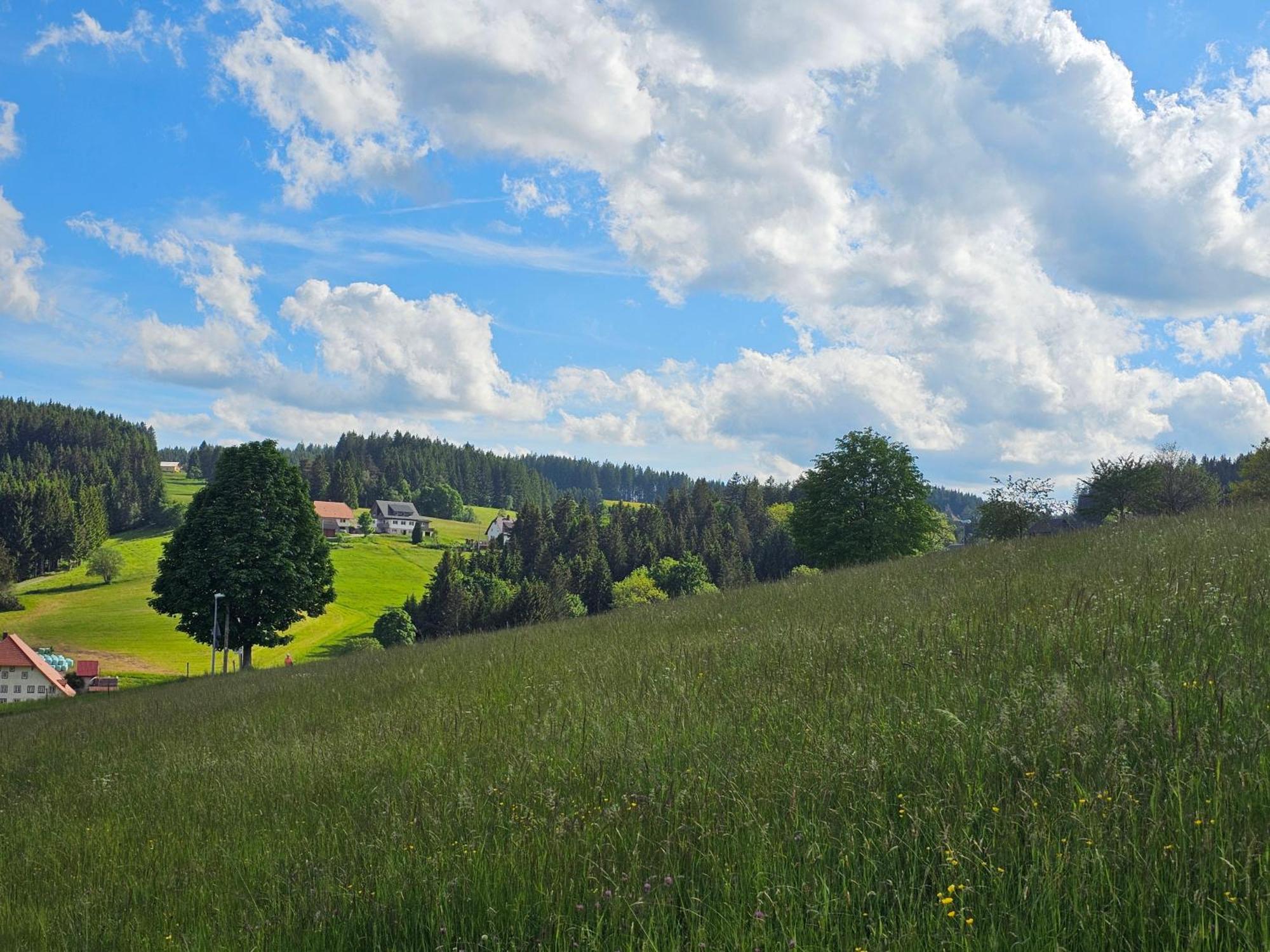 Miuti Residence Triberg im Schwarzwald Buitenkant foto