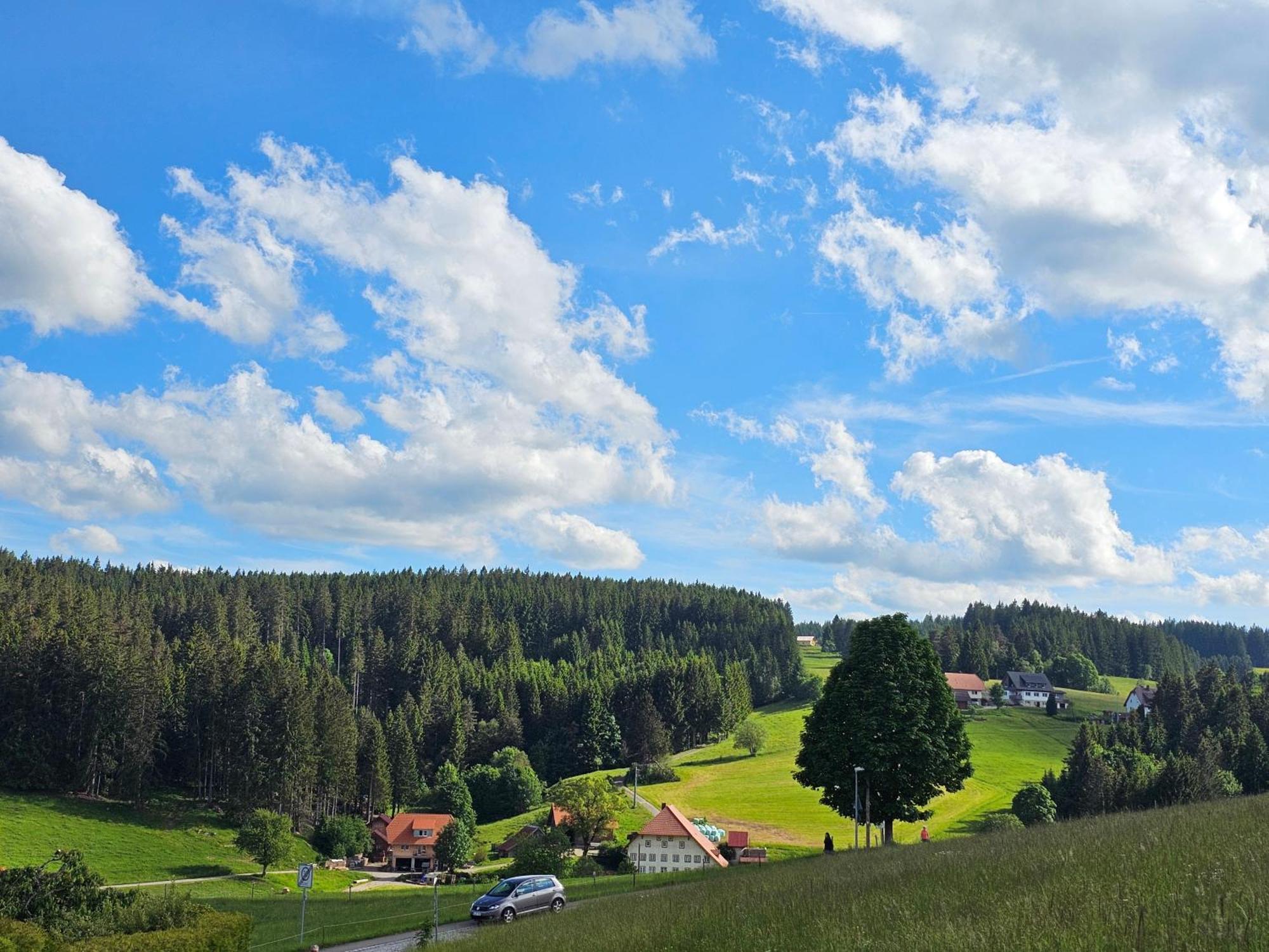 Miuti Residence Triberg im Schwarzwald Buitenkant foto